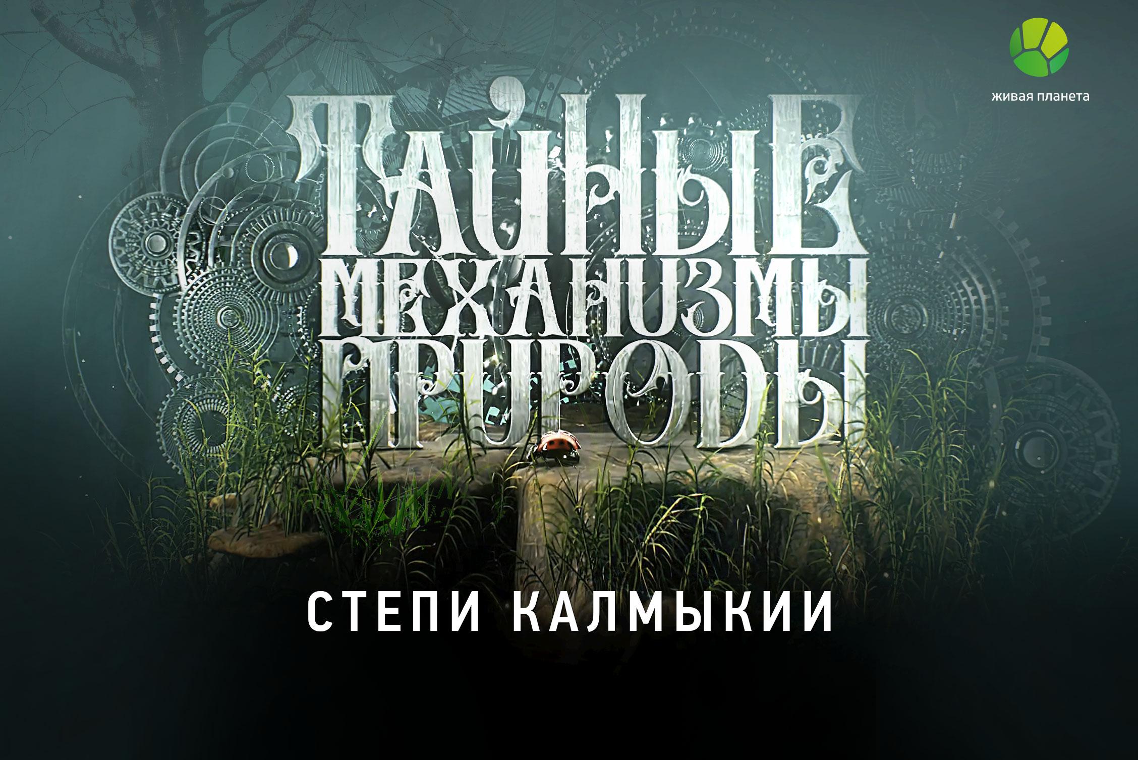 Живая планета. Тайные механизмы природы Живая Планета. Тайные механизмы природы Живая Планета ведущий. Тайные механизмы природы ведущий Илья долгов. Приморские косы. Тайные механизмы природы.